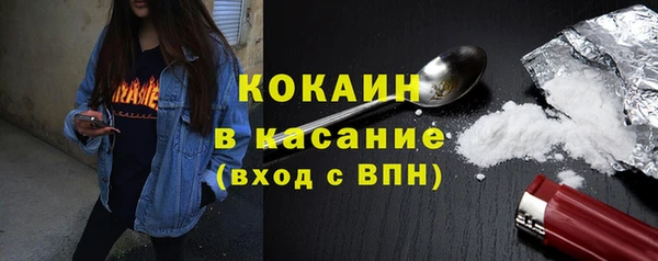твердый Михайловск