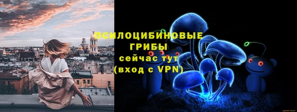 твердый Михайловск
