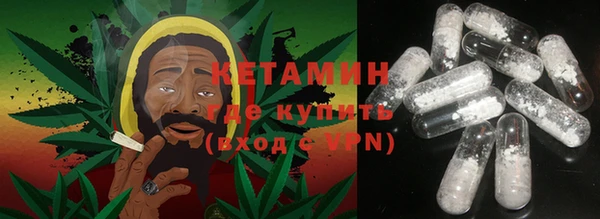 сатива Верея