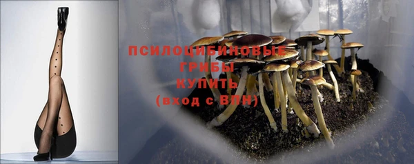 твердый Михайловск