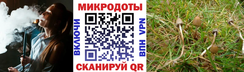 Псилоцибиновые грибы MAGIC MUSHROOMS blacksprut ССЫЛКА Холм где купить наркоту